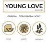 Young Love - Perfumeboxsa